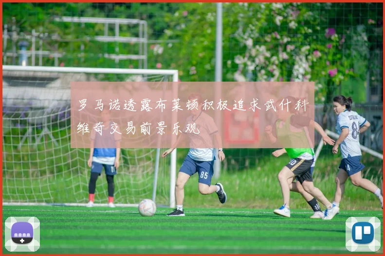 罗马诺透露布莱顿积极追求武什科维奇交易前景乐观