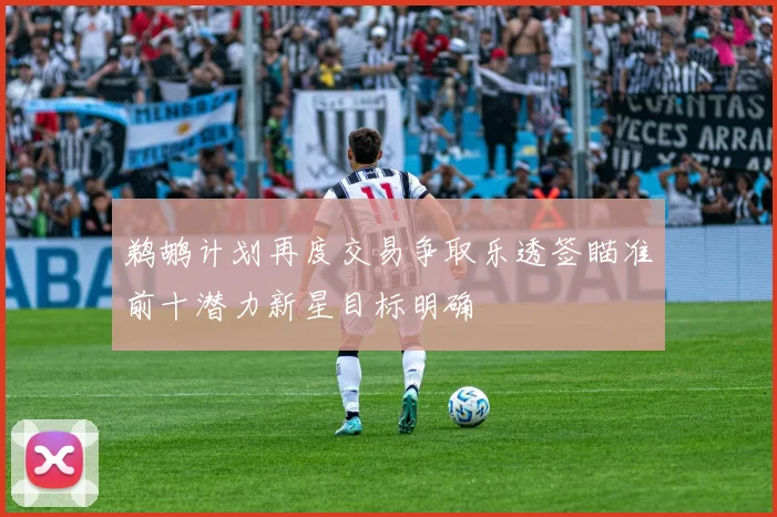 鹈鹕计划再度交易争取乐透签瞄准前十潜力新星目标明确